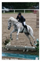 Heidi ja Kirppa vedellä :-)